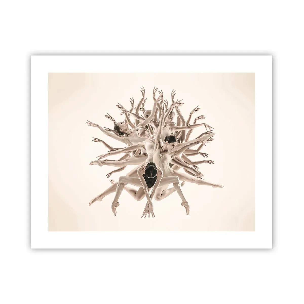 Poster - Înflorirea în dans - 50x40 cm