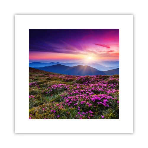 Poster - Ierburile proaspete miroseau puternic - 30x30 cm