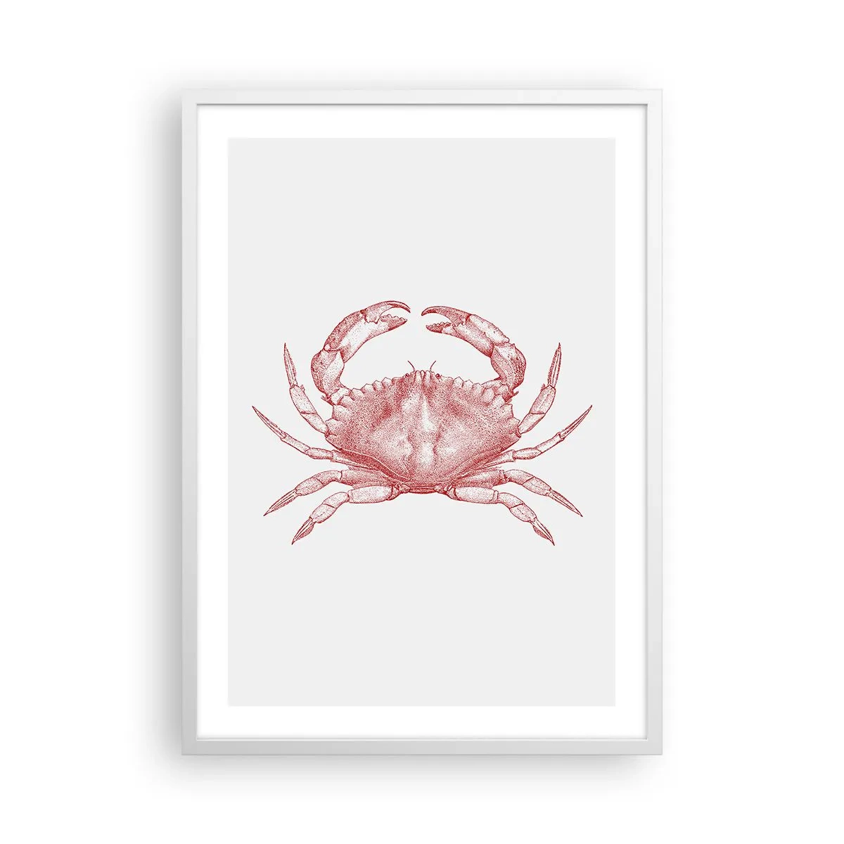 Poster în ramă albă - Crab peste crabi - 50x70 cm