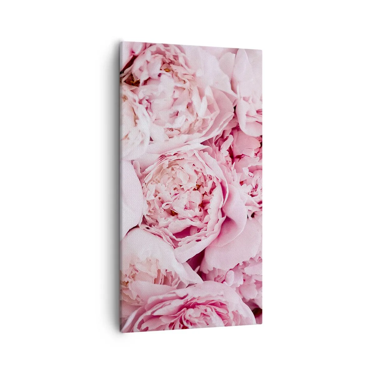 Tablou pe pânză - Îmbrățișate și parfumate - 55x100 cm