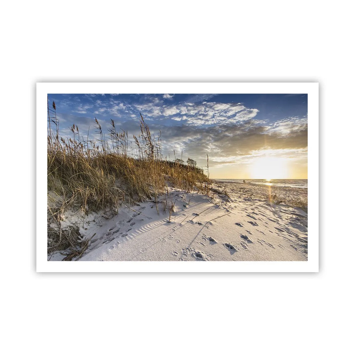 Poster - Invitație la o plimbare - 91x61 cm