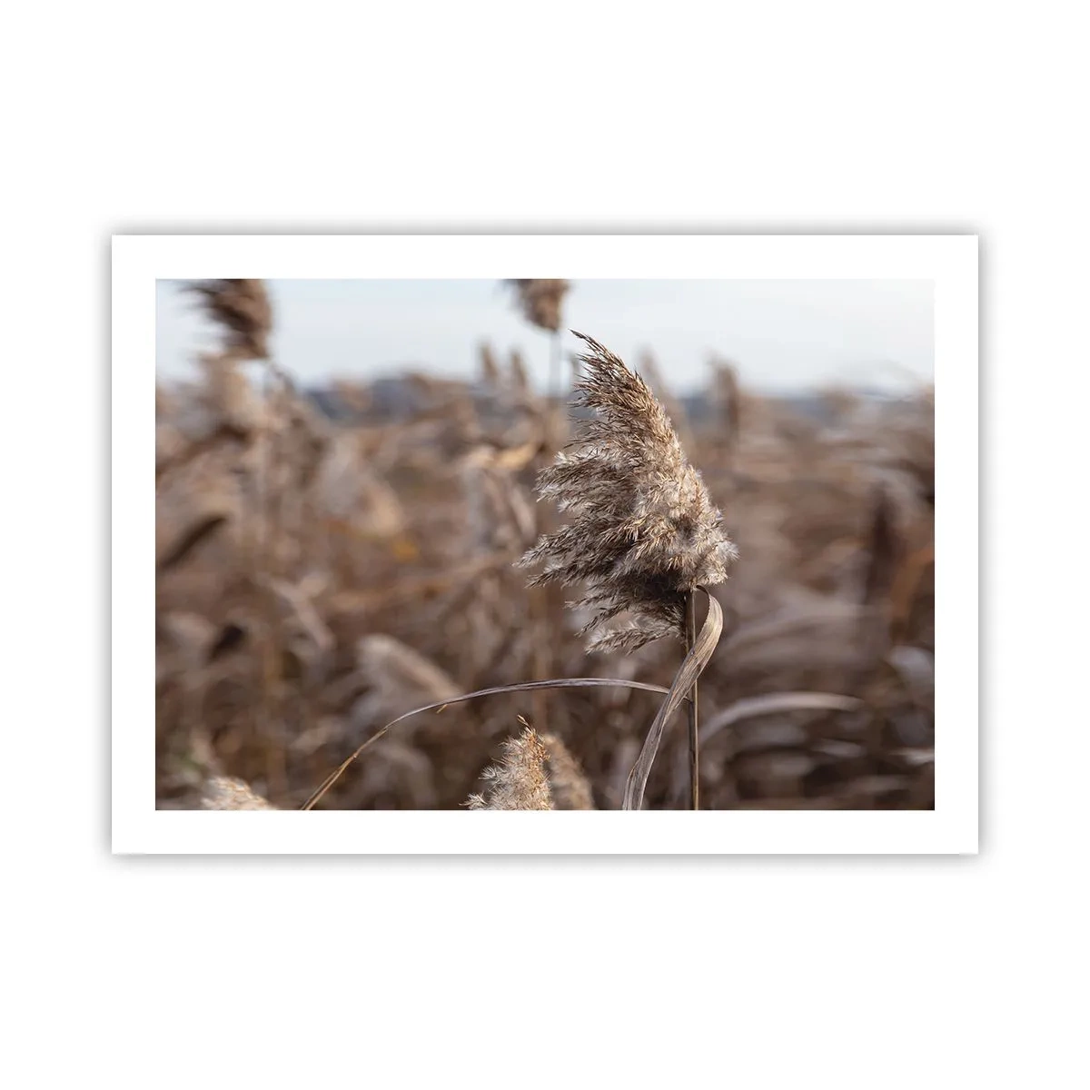 Poster - E timpul să zbori cu vântul - 70x50 cm