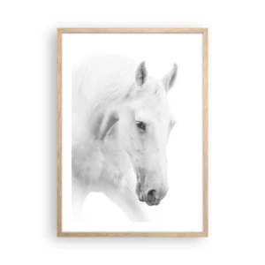 Poster în ramă de stejar deschis - Este aceasta o prietenie...? - 50x70 cm