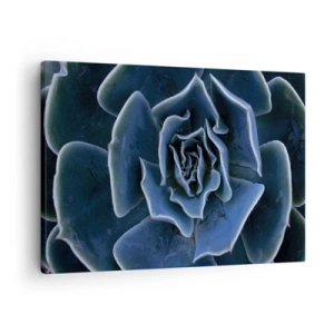 Tablou pe pânză Canvas - Prim-plan al unei rozete suculente verzi - 70x50cm - Floare de deșert - Decorațiune modernă pentru perete pentru living și dormitor ARTTOR