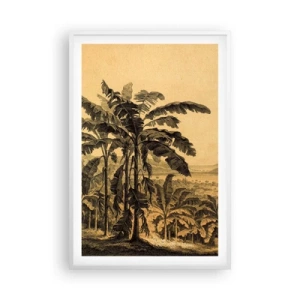 Poster în ramă albă - În stil colonial - 61x91 cm