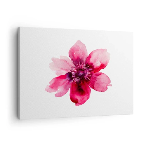 Tablou pe pânză Canvas - Floare roz în stil acuarelă pe fundal alb - 70x50cm - Sărut parfumat de carmin - Decorațiune modernă pentru perete pentru living și dormitor ARTTOR