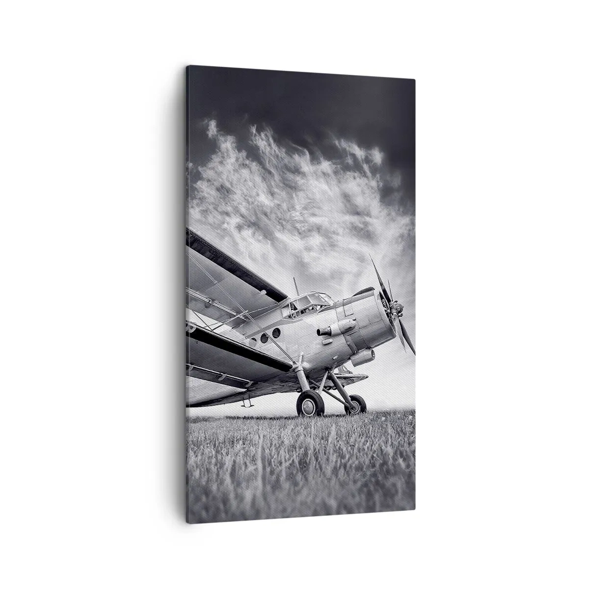 Tablou pe pânză - Rătăcitorul înaripat - 45x80 cm