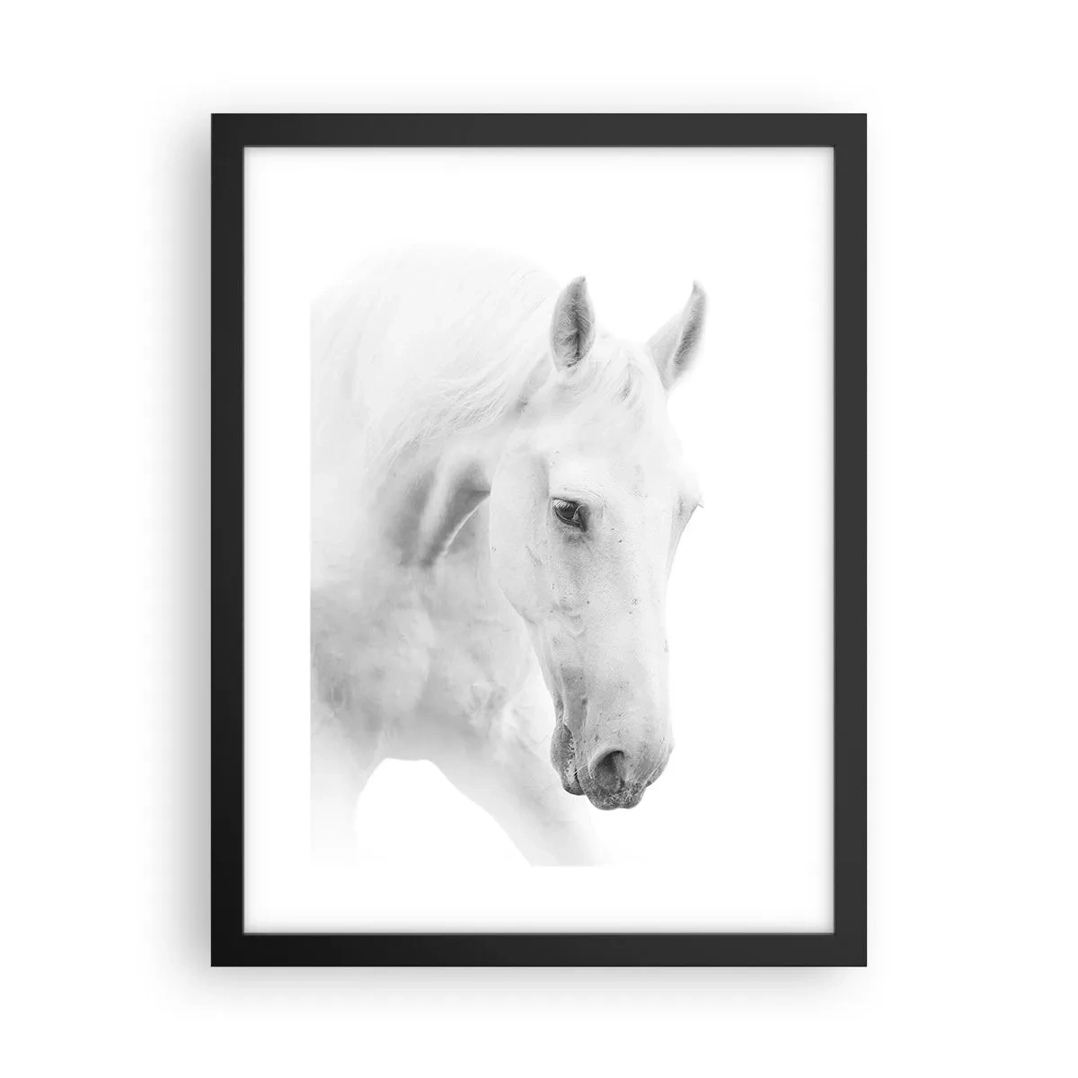 Poster în ramă neagră - Este aceasta o prietenie...? - 30x40 cm