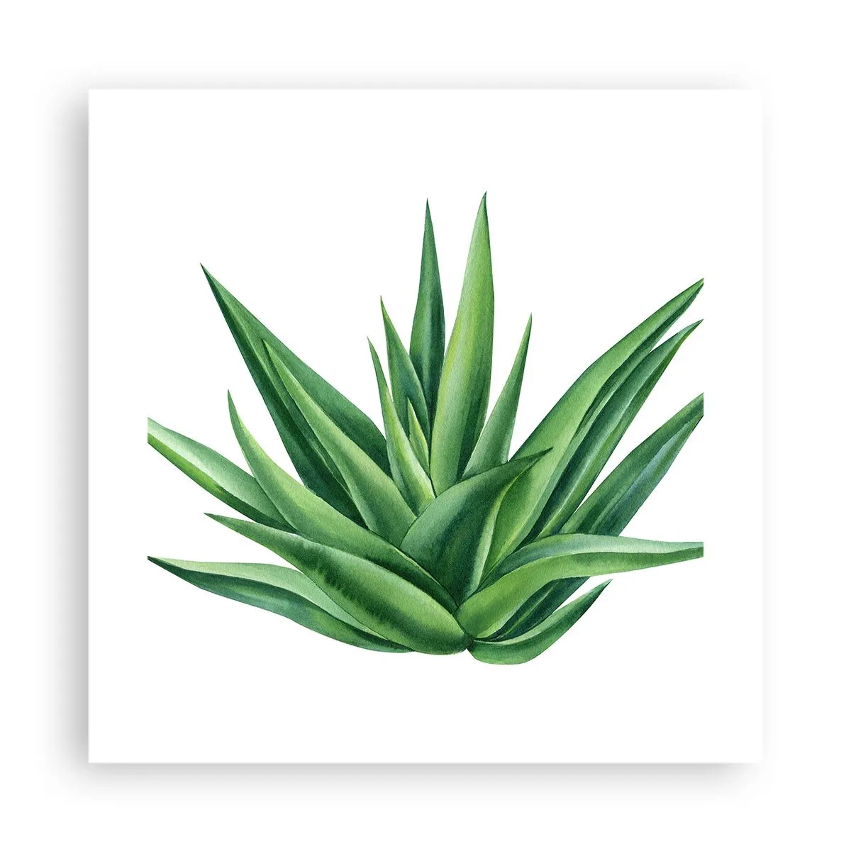 Poster - Verde - putere - viață - 40x40 cm