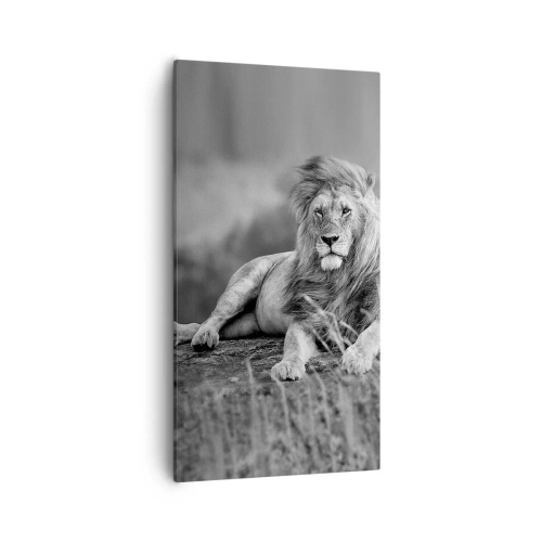 Tablou pe pânză - Siesta regală - 55x100 cm