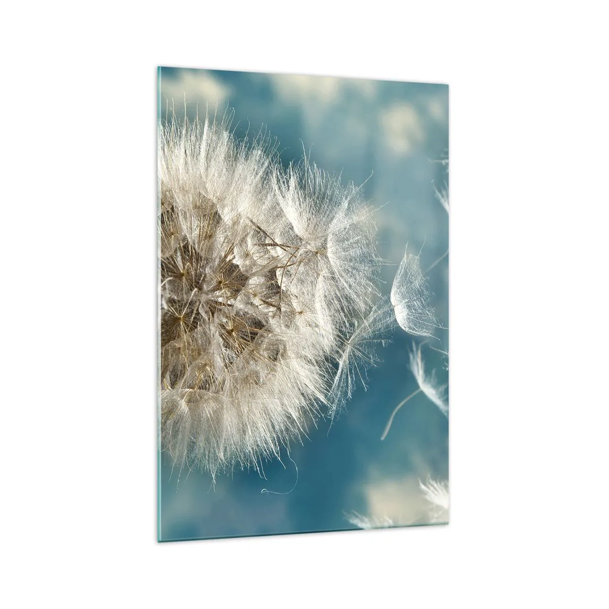 Tablou pe sticlă - Respirația unui înger - 70x100 cm