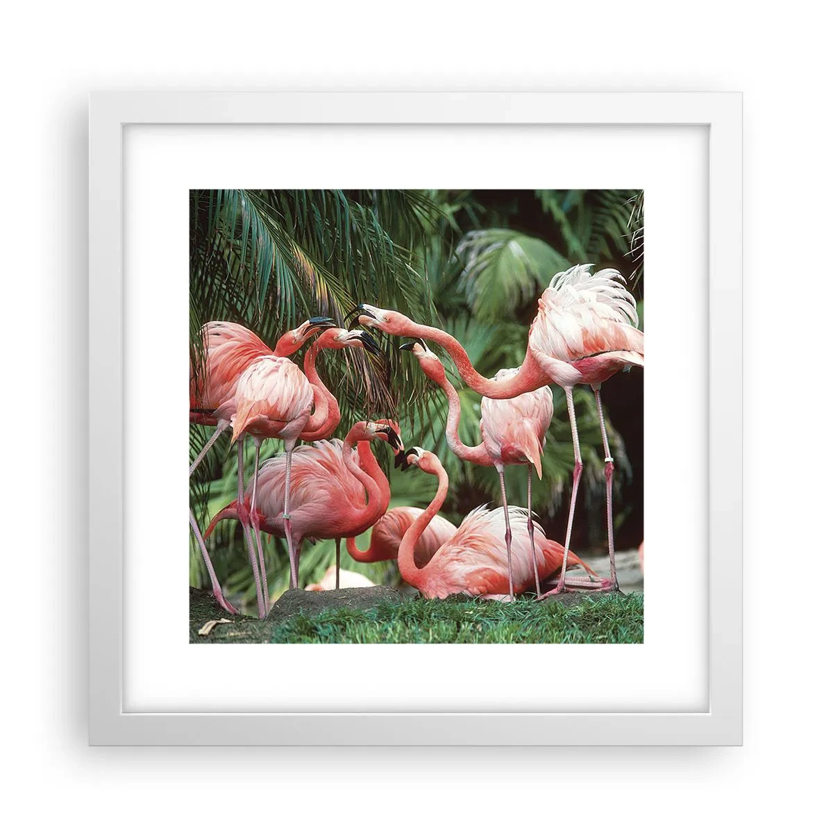 Poster în ramă albă - Bârfa de după-amiază - 30x30 cm