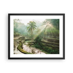 Poster în ramă neagră - Crescând la soare - 50x40 cm