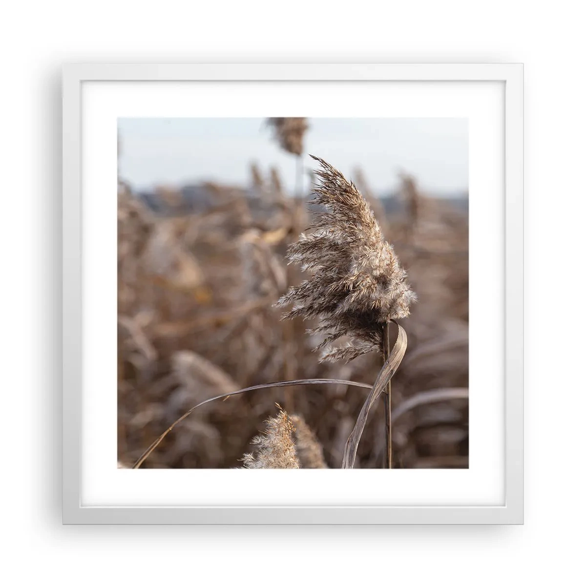 Poster în ramă albă - E timpul să zbori cu vântul - 40x40 cm