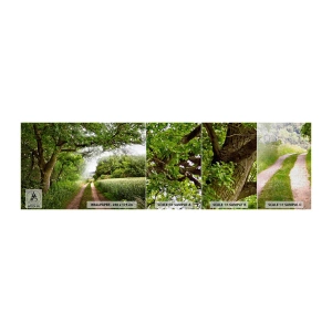 Mostră tapet Premium Canvas - Et in Arcadia ego - Peisaj, Drum noroios, Natură - 100x30 cm