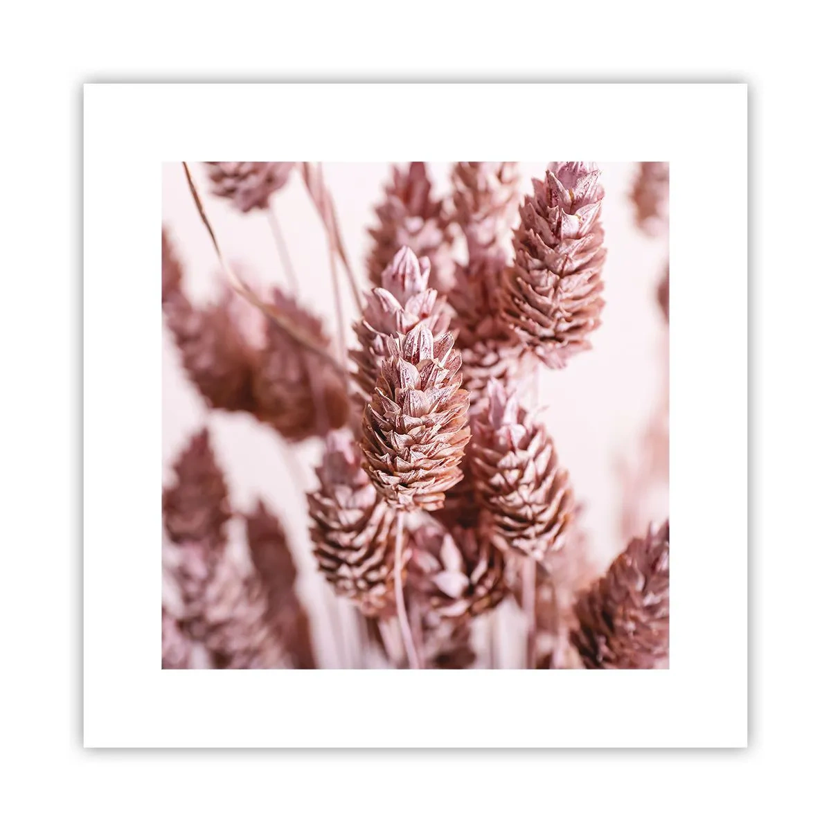 Poster - Aparent discrete - 30x30 cm