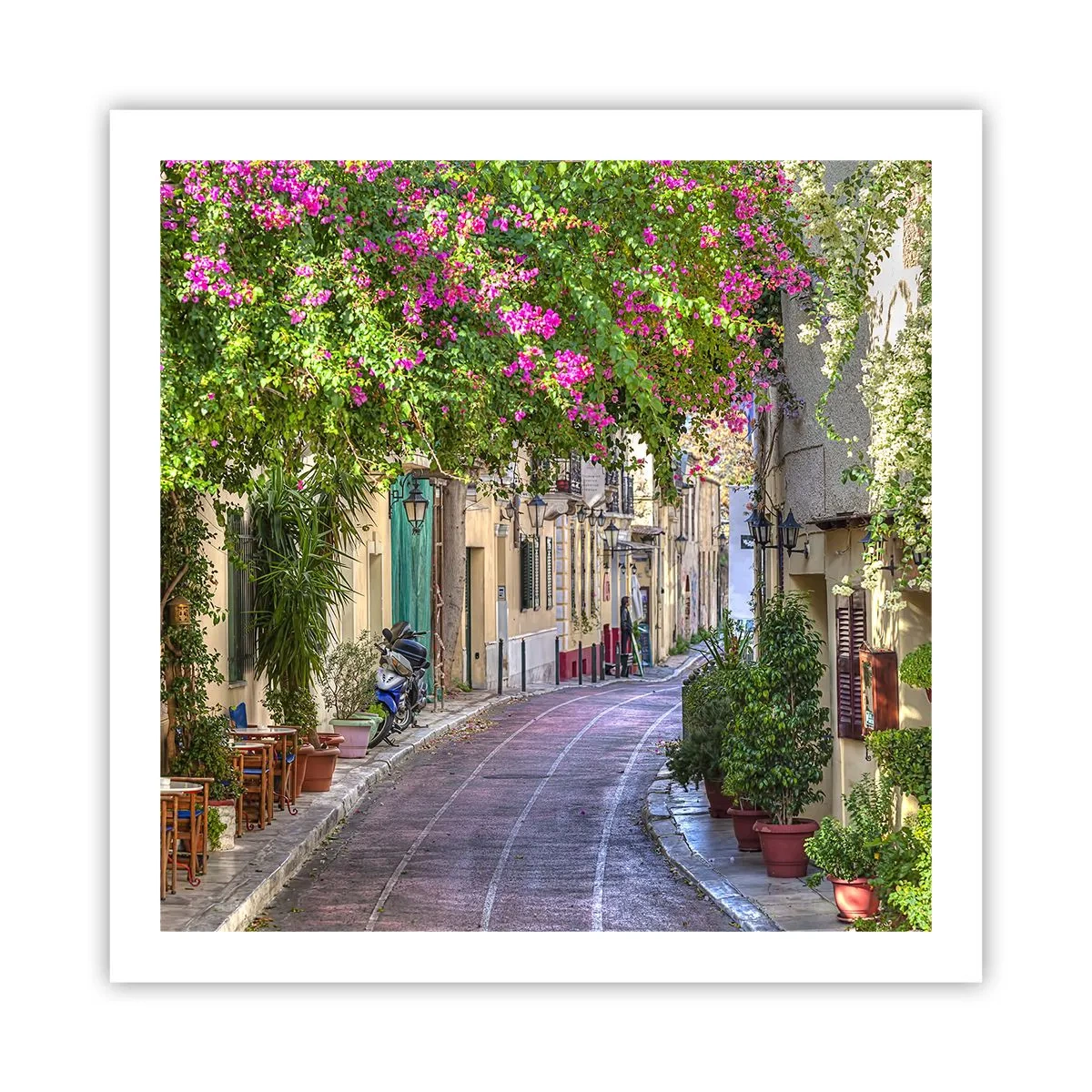 Poster - Alee înfloritoare - 60x60 cm