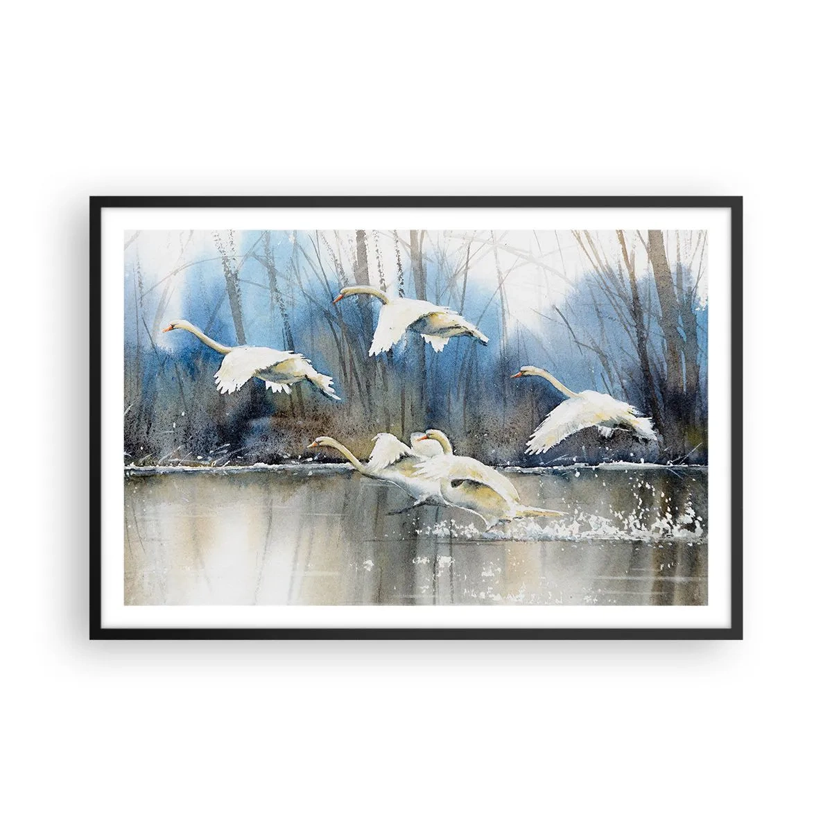 Poster în ramă neagră - Dansând cu lebedele sălbatice - 91x61 cm