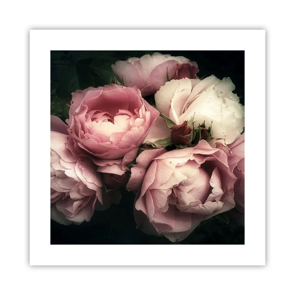 Poster - Farmecul belle epoque - 40x40 cm