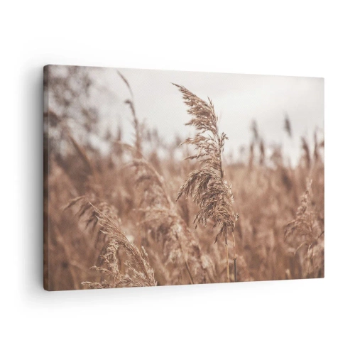 Tablou pe pânză Canvas - Ierburi aurii pe fundalul peisajelor de toamnă - 70x50cm - Toamna pe câmpuri - Decorațiune modernă pentru perete pentru living și dormitor ARTTOR
