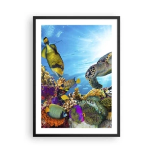 Poster în ramă neagră - Viață marină colorată cu pești și broaște țestoase în apele tropicale - 50x70cm - Promenada de corali - Decorațiune modernă pentru perete pentru living și dormitor ARTTOR