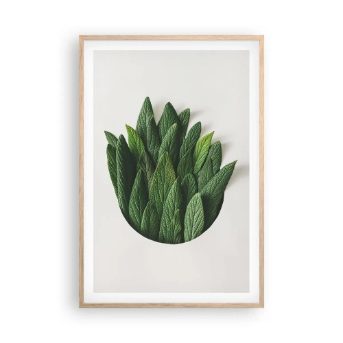 Poster în ramă de stejar deschis - Curiozitatea nestăvilită - 61x91 cm