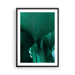 Poster în ramă neagră - Prim-plan al unor frunze verzi mari care prezintă structură și textură. - 50x70cm - Cu frunza la lumină - Decorațiune modernă pentru perete pentru living și dormitor ARTTOR