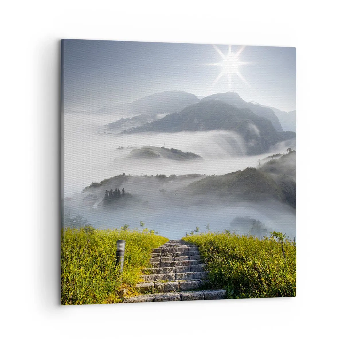 Tablou pe pânză - Tot spre nori - 50x50 cm