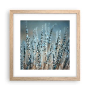 Poster în ramă de stejar deschis - Câmpul parfumat - 30x30 cm