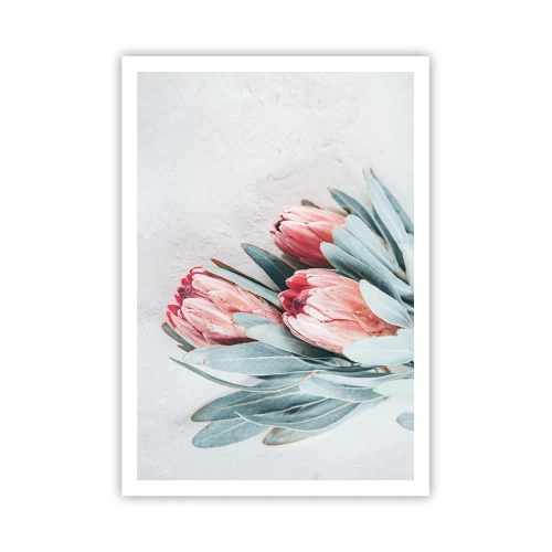 Poster - Rușinate de propria lor frumusețe - 70x100 cm