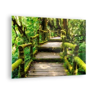 Tablou pe sticlă - O cărare de lemn într-o pădure verde acoperită cu mușchi - 70x50cm - Coridorul verde - Decorațiune modernă pentru perete pentru living și dormitor ARTTOR