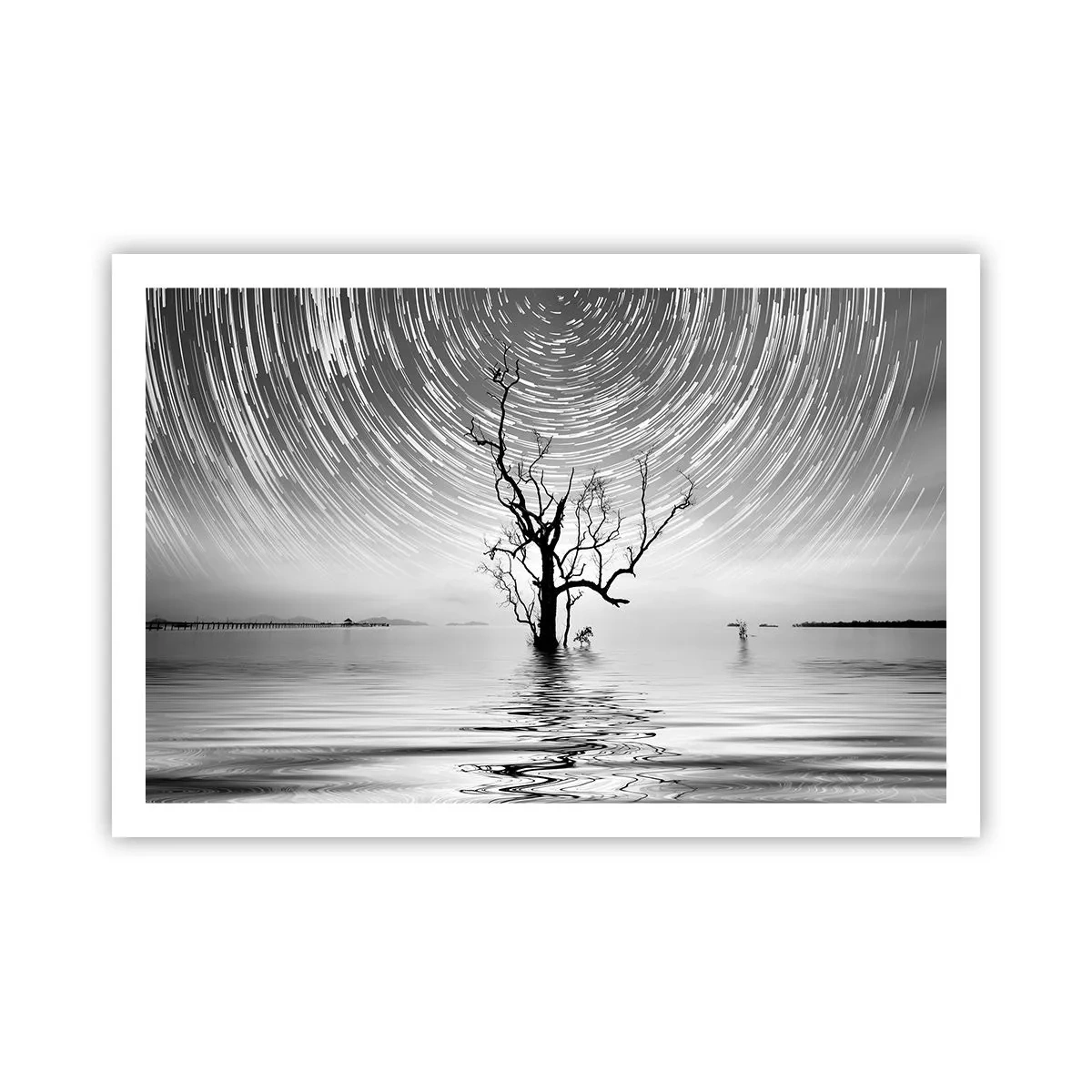 Poster - O simfonie a naturii - 91x61 cm