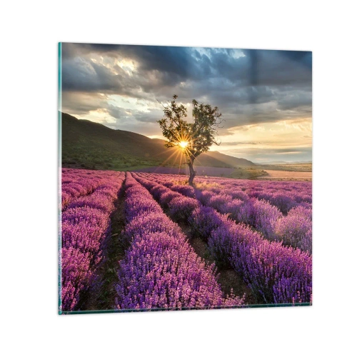 Tablou pe sticlă - Aroma în liliac - 70x70 cm