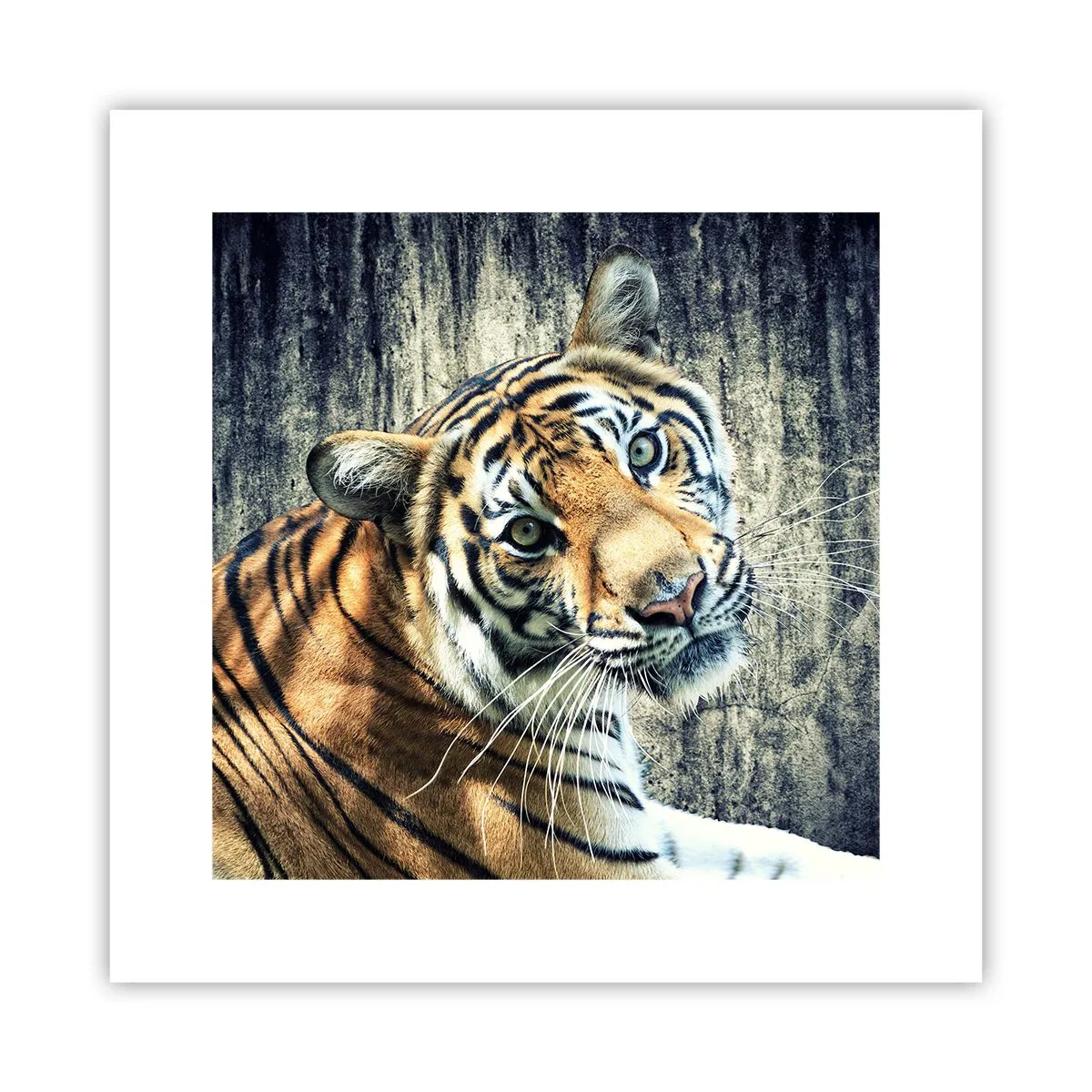 Poster - Portret în fluxuri de lumină - 30x30 cm