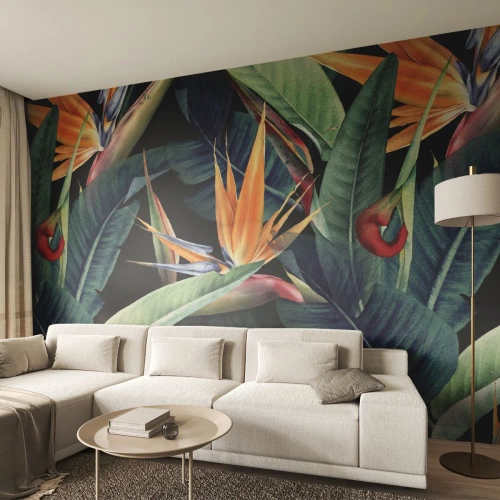 Fototapetă personalizată Premium Canvas - Florile de flacără ale tropicelor - Strelitzia Royal, Floare, Africa