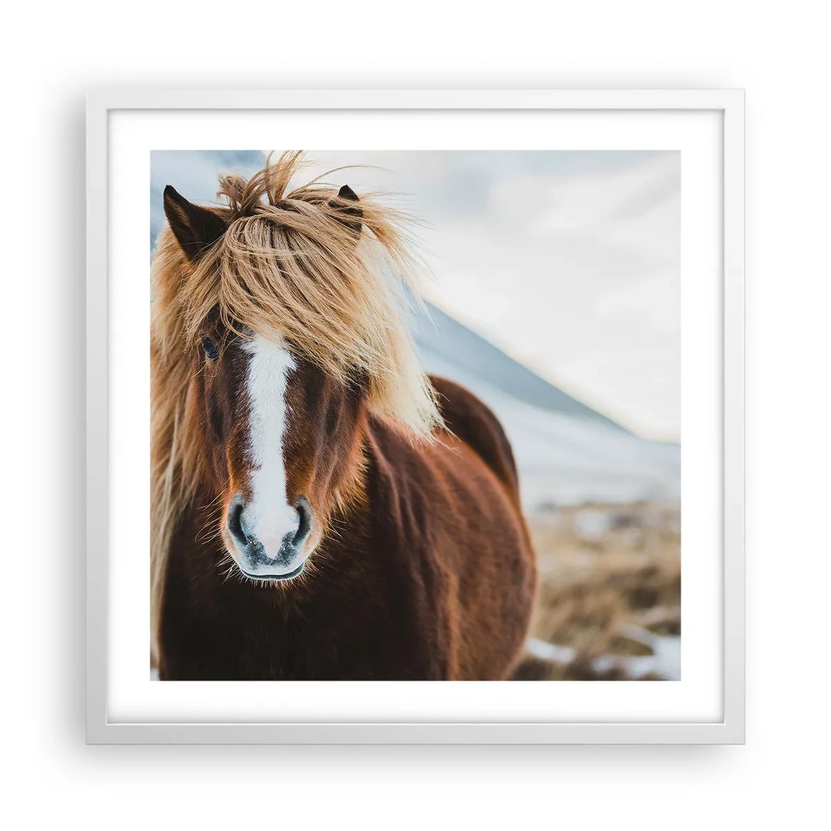 Poster în ramă albă - Simțiți libertatea? - 50x50 cm