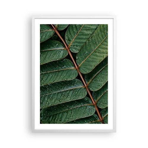 Poster în ramă albă - Într-un ritm verde - 50x70 cm