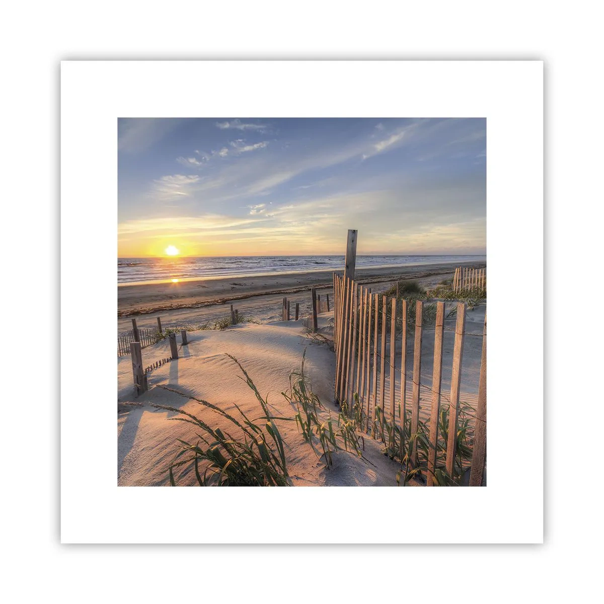 Poster - Strălucirea și umbra vântului - 30x30 cm