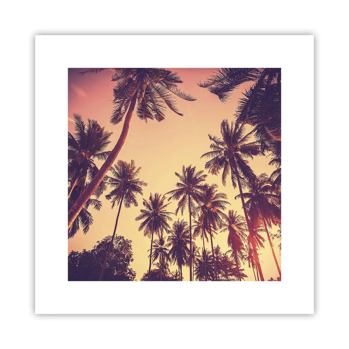 Poster - Variație tropicală - 30x30 cm