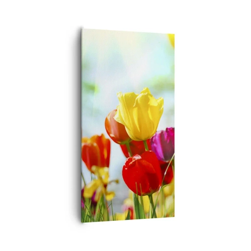 Tablou pe pânză - Toate culorile soarelui - 65x120 cm