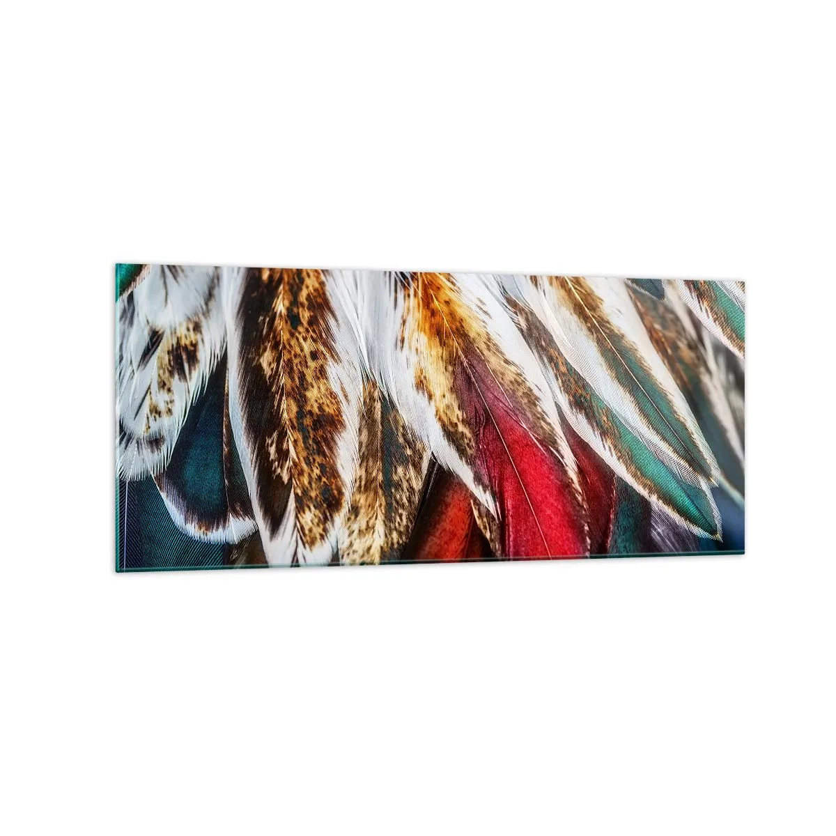 Tablou pe sticlă - Secretele zborului - 120x50 cm