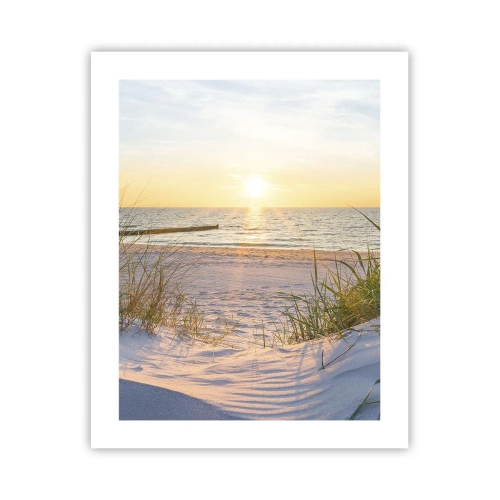 Poster - Zumzet de mare, o plajă sălbatică printre ierburi... - 40x50 cm