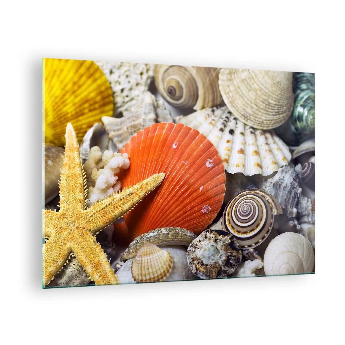 Tablou pe sticlă - Scoici și stele de mare colorate într-o compoziție marină - 70x50cm - Comorile oceanului - Decorațiune modernă pentru perete pentru living și dormitor ARTTOR