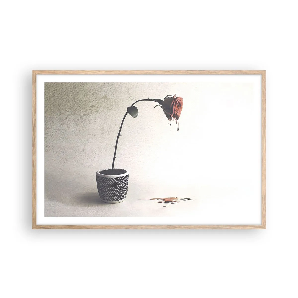 Poster în ramă de stejar deschis - Rosa dolorosa - 91x61 cm