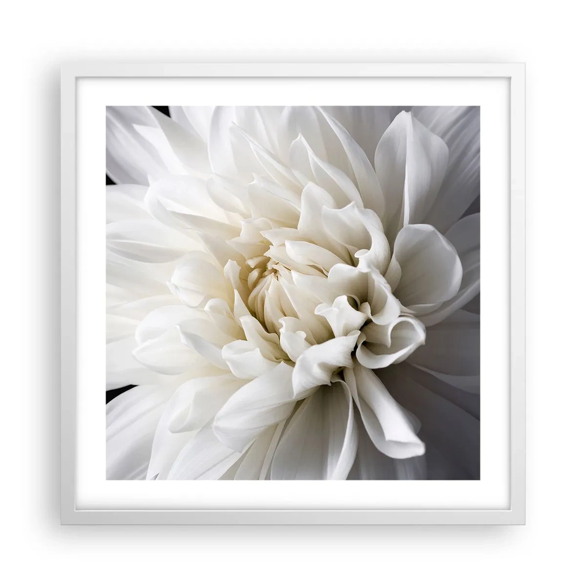 Poster în ramă albă - Dimineața miresei - 50x50 cm