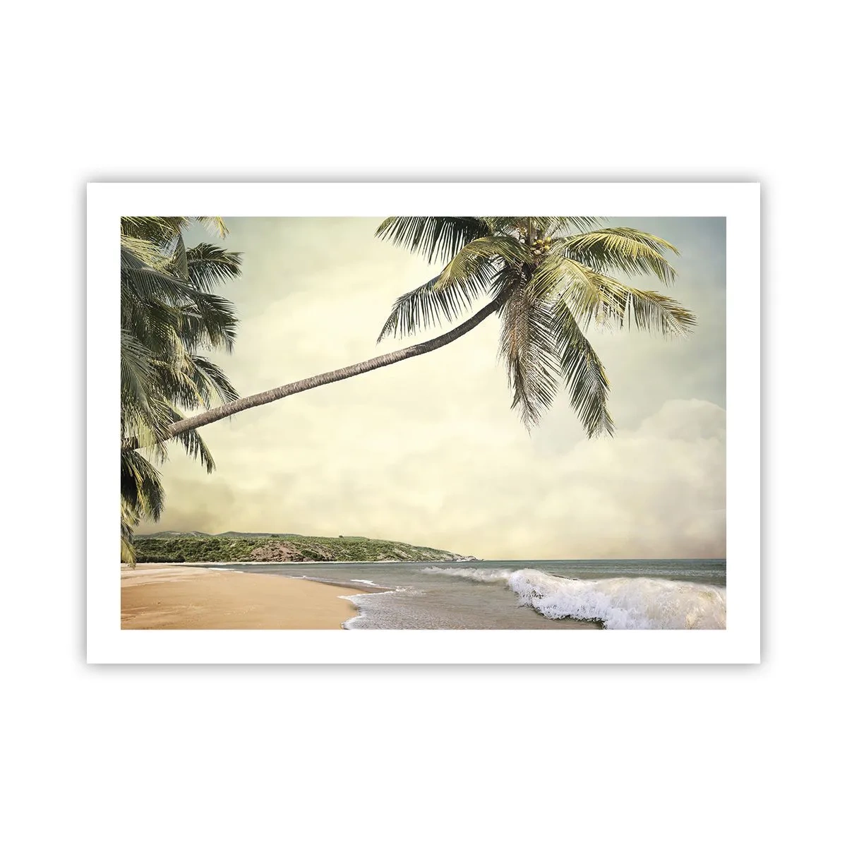 Poster - Vis tropical - 70x50 cm