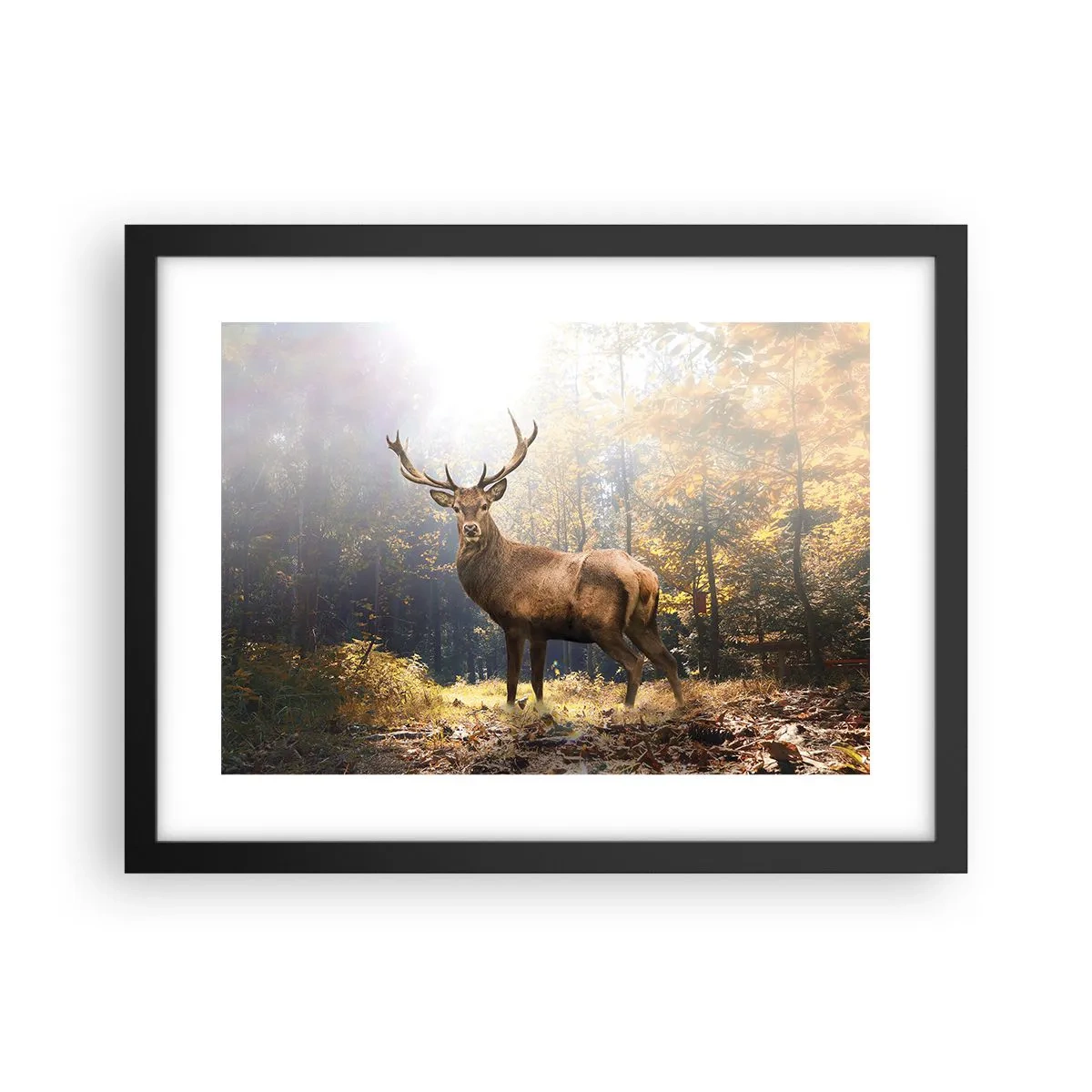 Poster în ramă neagră - Măreție calmă - 40x30 cm