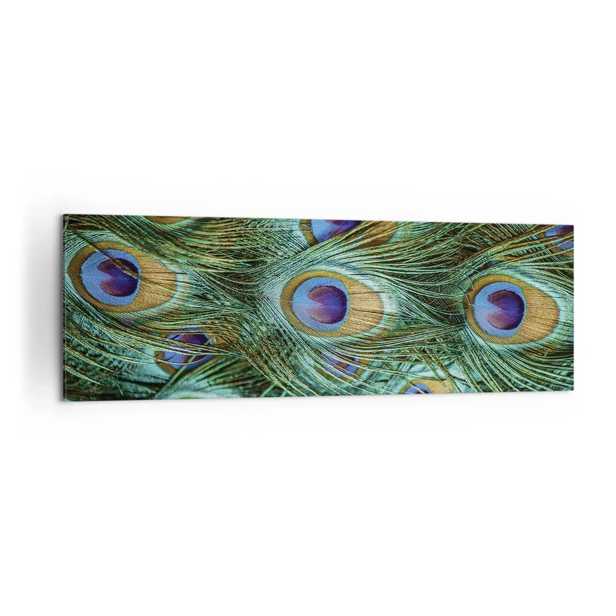 Tablou pe pânză - O privire cu ochi de păun - 160x50 cm