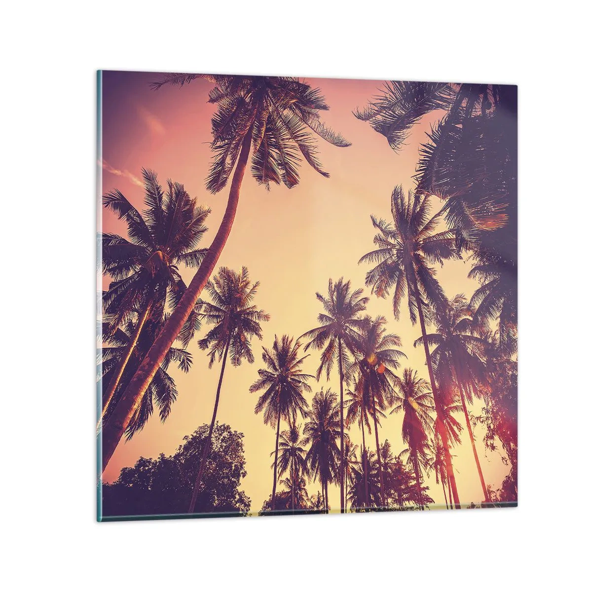 Tablou pe sticlă - Variație tropicală - 30x30 cm