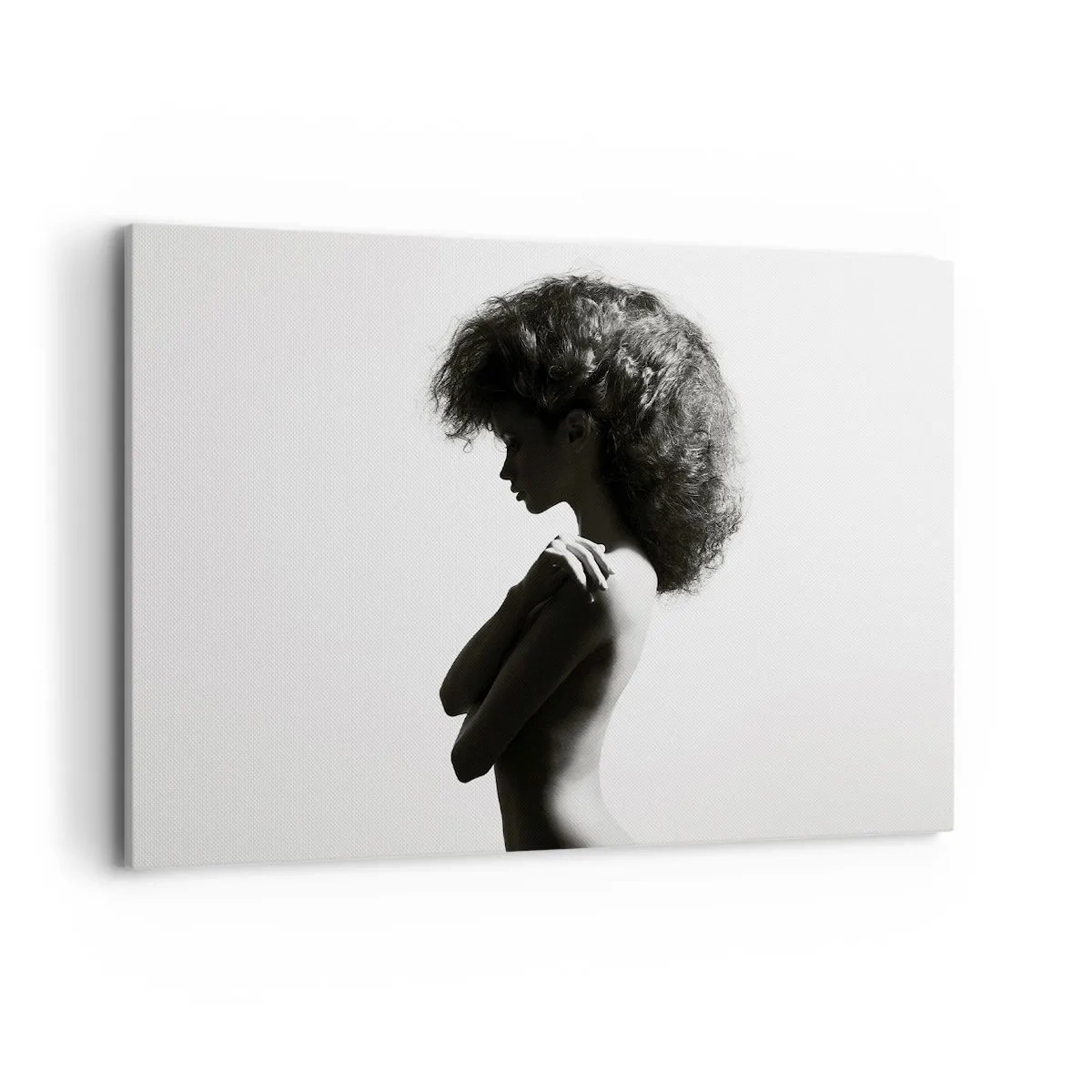 Tablou pe pânză - Ca o floare pe o tulpină subțire - 100x70 cm